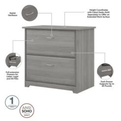Cabot 2 Drawer Lateral File Cabinet By Bush Furniture - Reclaimed Pine -Felloweis Store 2b6db800 6471 4fb3 a798 af9f3c882b50