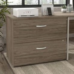 Hybrid 2 Drawer Lateral File Cabinet By Bush Business Furniture - Modern Hickory
