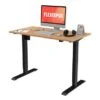FLEXISPOT 48"x24" Home Office Electric Height Adjustable Standing Desk Sit Stand Desk Natural Bamboo Desk Top - Black