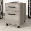 City Park 2 Drawer Mobile File Cabinet By Kathy Ireland Home - Driftwood Gray