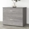 Studio A 2 Drawer Lateral File Cabinet By Bush Business Furniture - Platinum Gray
