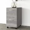 Studio A 2 Drawer Mobile File Cabinet By Bush Business Furniture - Platinum Gray