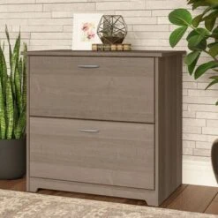 Cabot 2 Drawer Lateral File Cabinet By Bush Furniture - Ash Gray