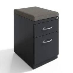 Hirsh 20-inch Deep Mobile Pedestal File 2-Drawer Box/File With Arch Pull And Seat Cushion, Charcoal/Chinchilla - Grey - Letter