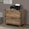 Oxford 2-Drawer Lateral File Cabinet - Oak
