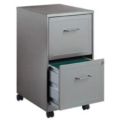 Brother Office Designs Metallic Silver 2-drawer Mobile File Cabinet