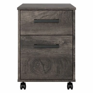 City Park 2 Drawer Mobile File Cabinet By Kathy Ireland Home - Driftwood Gray 18 City Park 2 Drawer Mobile File Cabinet By Kathy Ireland Home - Driftwood Gray - Image 18