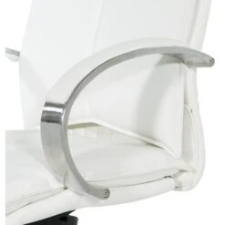 Deluxe High Back Executive Chair With Polished Aluminum Base And Padded Arms - White 21 Deluxe High Back Executive Chair With Polished Aluminum Base And Padded Arms - White -Felloweis Store d82aa66f fe35 4d39 9035 12db492f106d